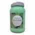 Amazon mud mask 1 gallon - Mint